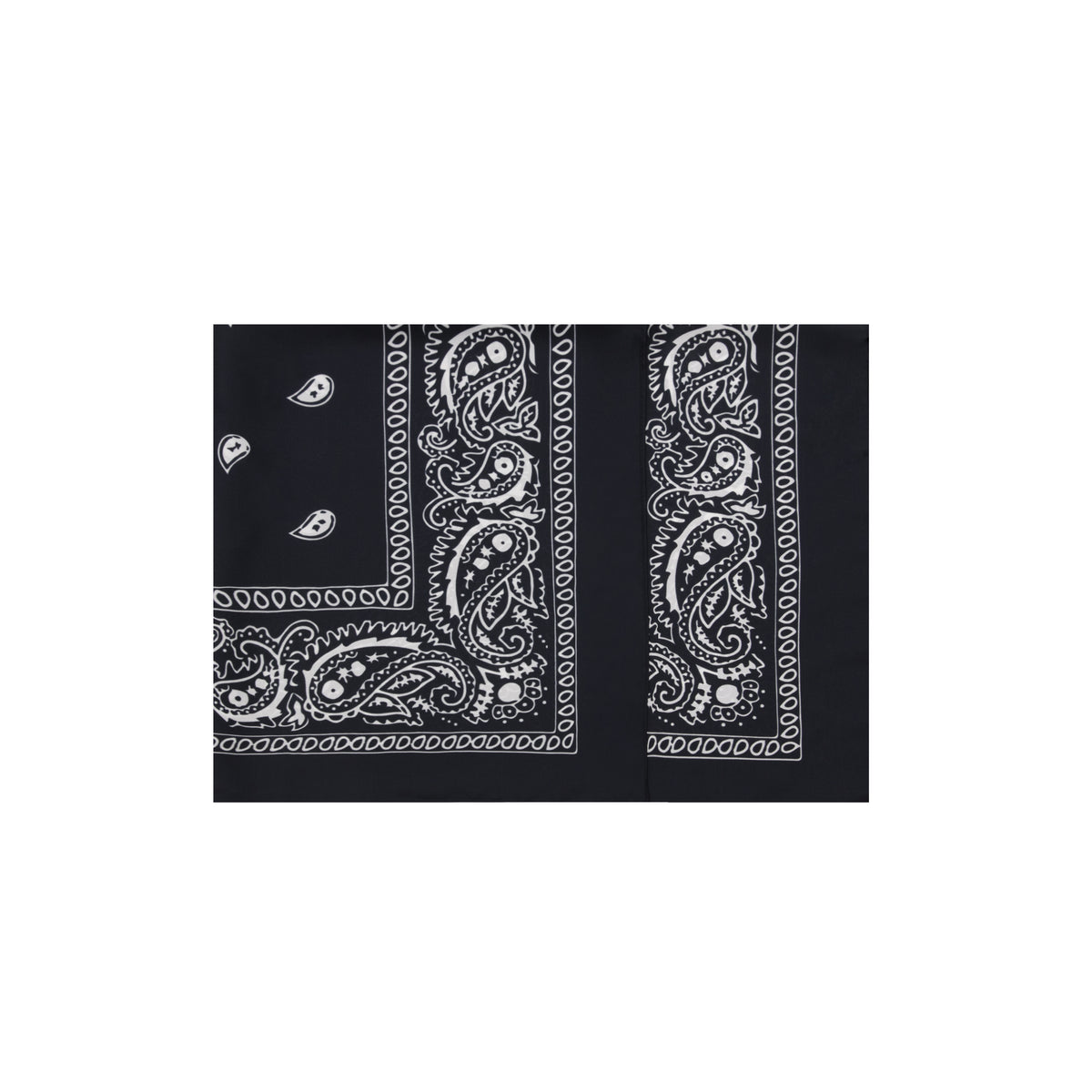 Classic 'Paisley' Scarf Black – ALBINA DYLA