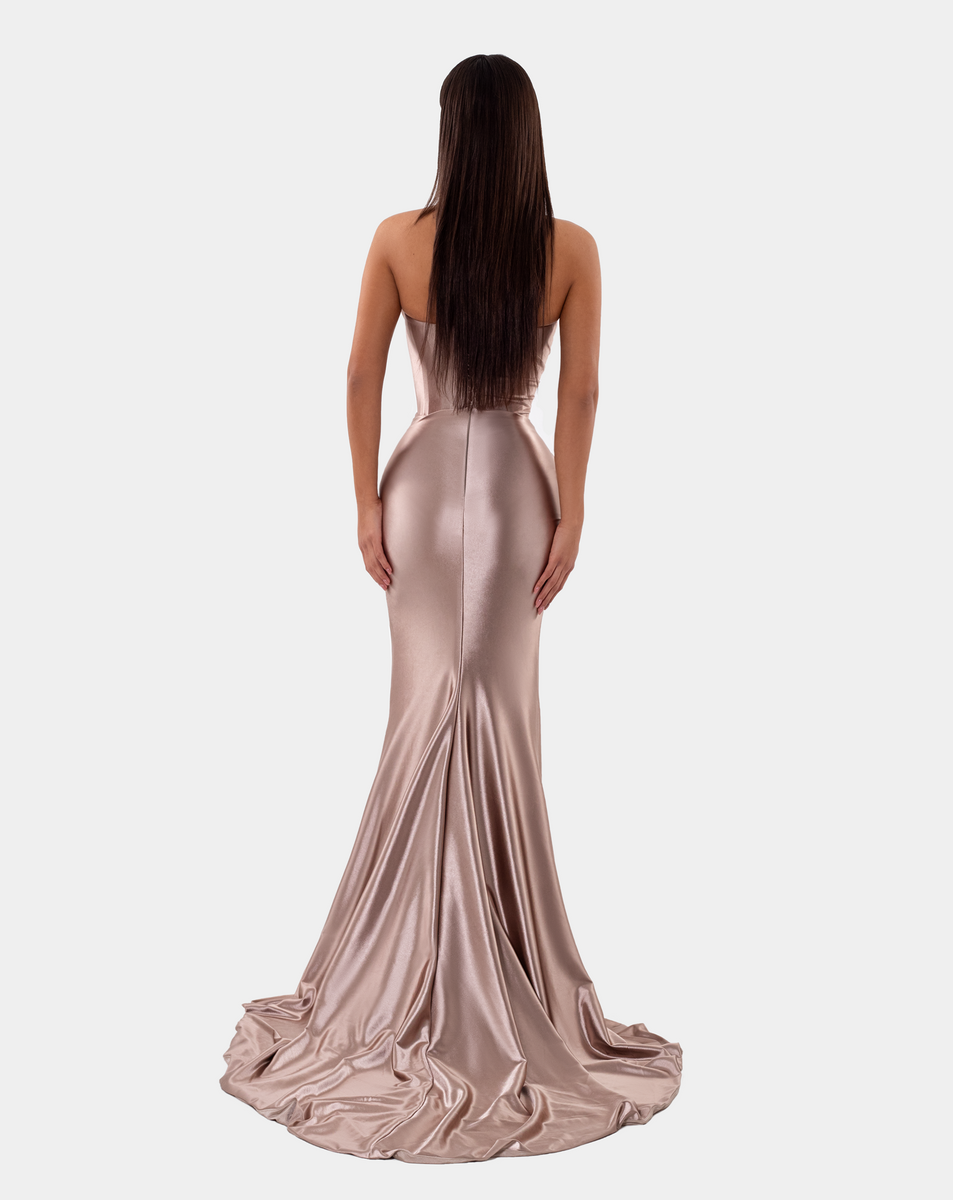 LONG CORSET DRESS (US EDITION) – ALBINA DYLA