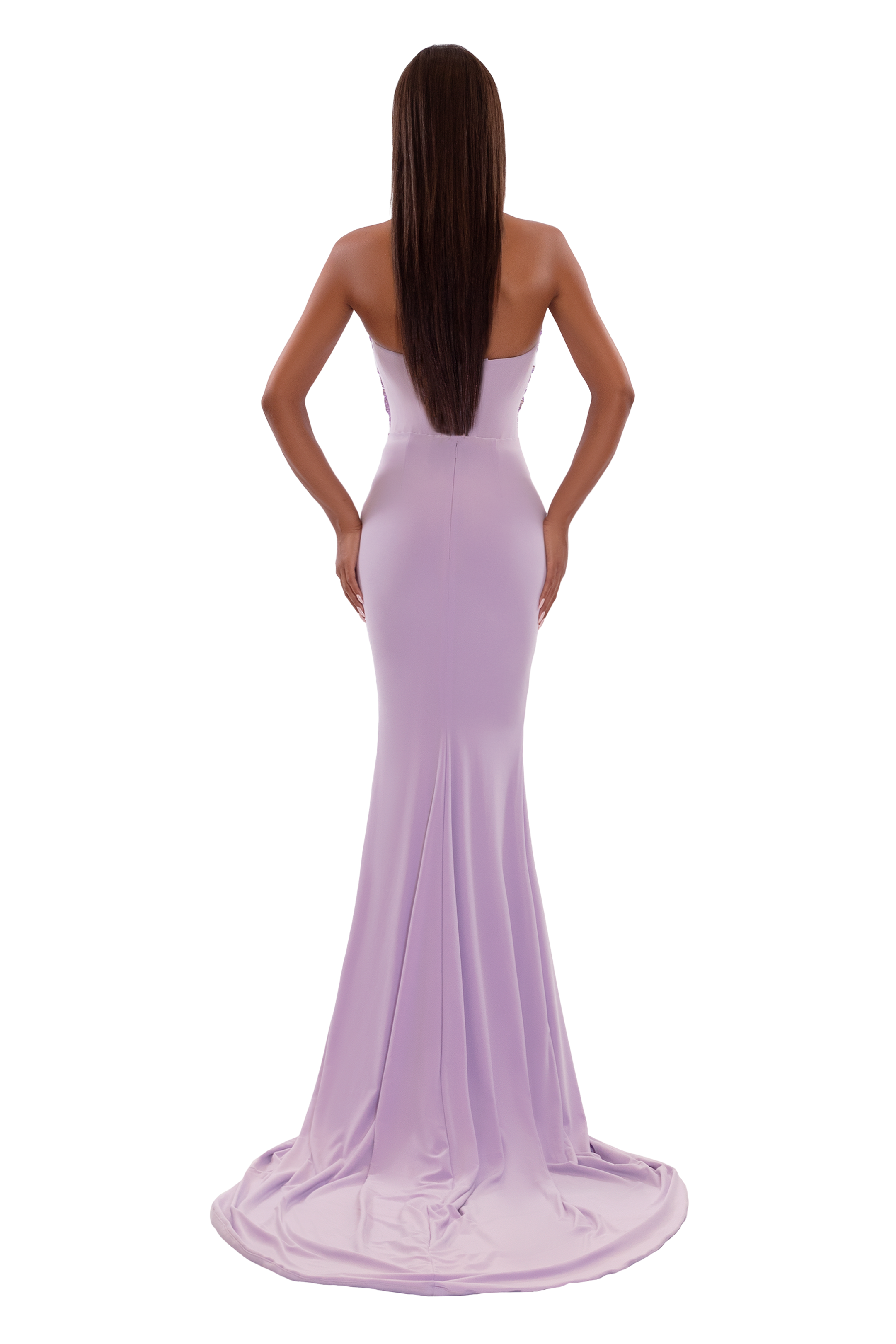 lilac embellished maxi dress Coast Women's Embellished Chiffon Maxi Dress in Lilac