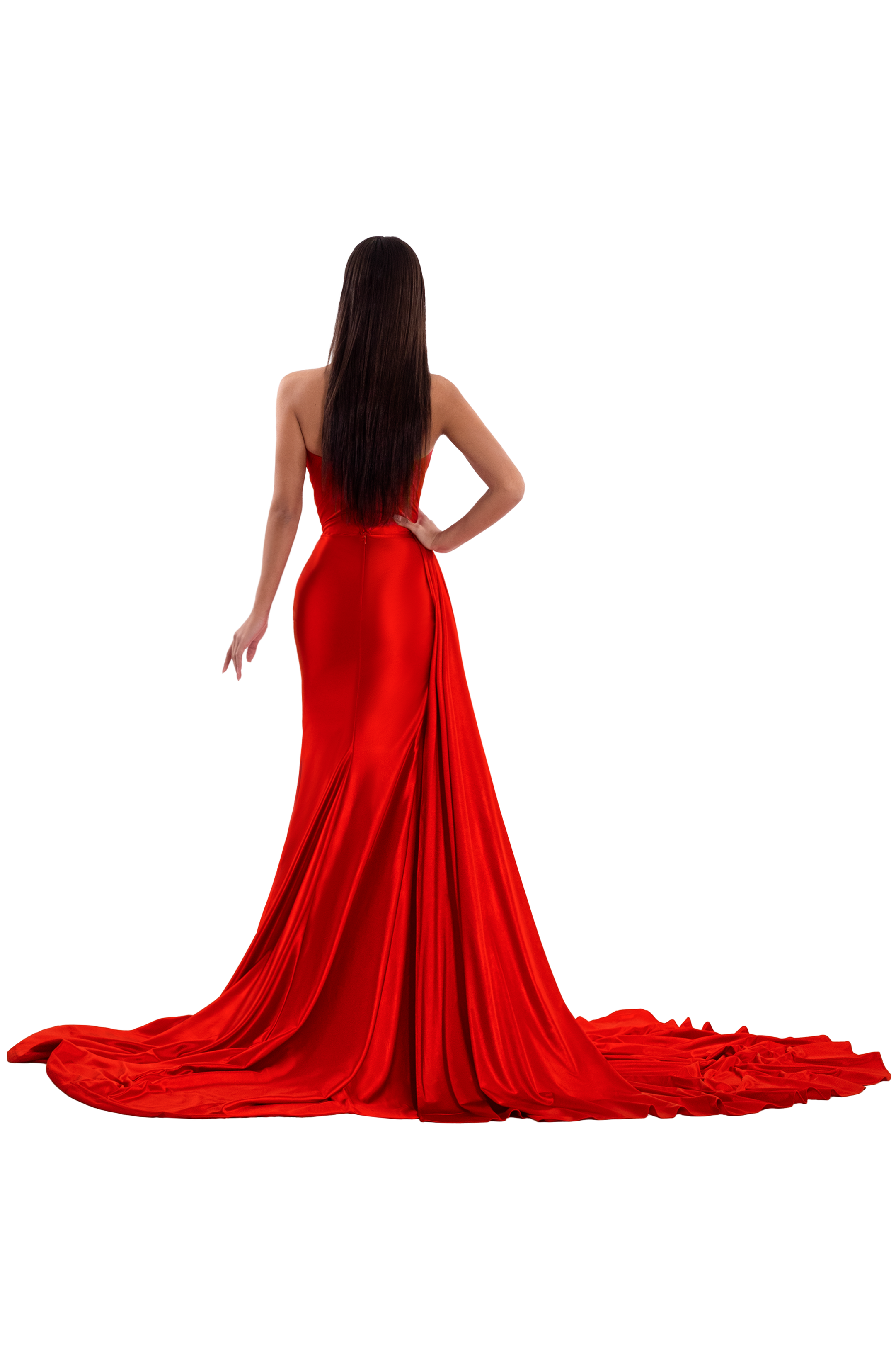 LONG TAIL DRESS L LONG TAIL DRESS L