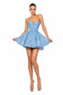Celeste Crystal Mini Dress