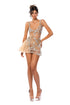 Champagne Tulle Flare Dress