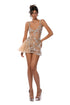 Champagne Tulle Flare Dress