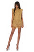 Gilded Mini Dress
