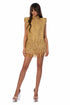 Gilded Mini Dress