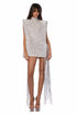 Silver Mini Dress