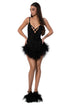 Black Mini Dress with Feather Trim