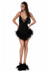 Black Mini Dress with Feather Trim