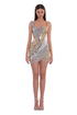 Metallic Panel Short Dress