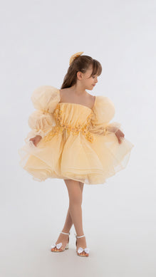 Short Puffy Sleeves Dress For Girls
