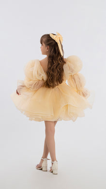 Short Puffy Sleeves Dress For Girls