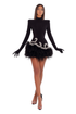 Short Black Feathers Dress