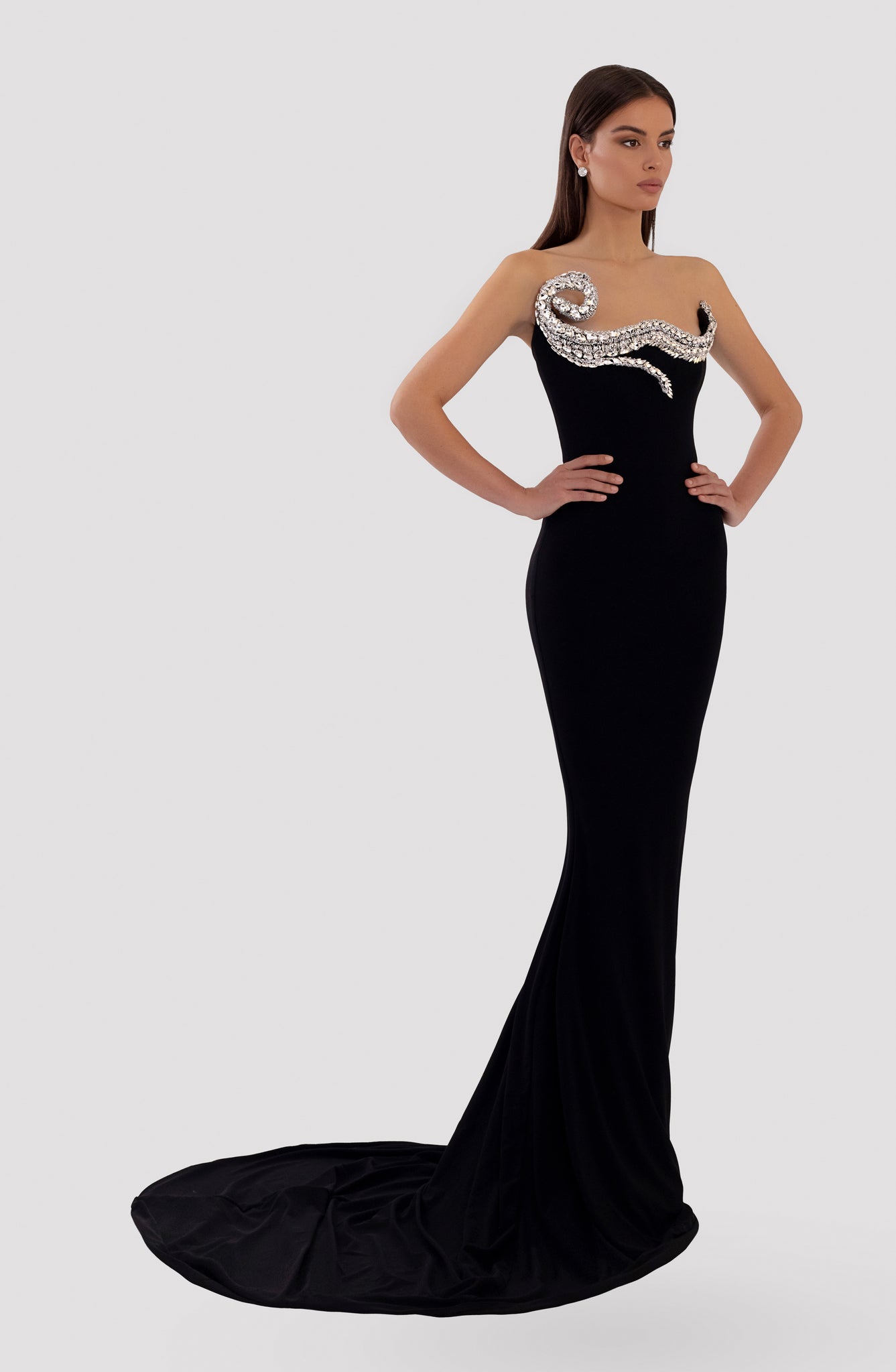 Long Embroidered Black Dress – ALBINA DYLA