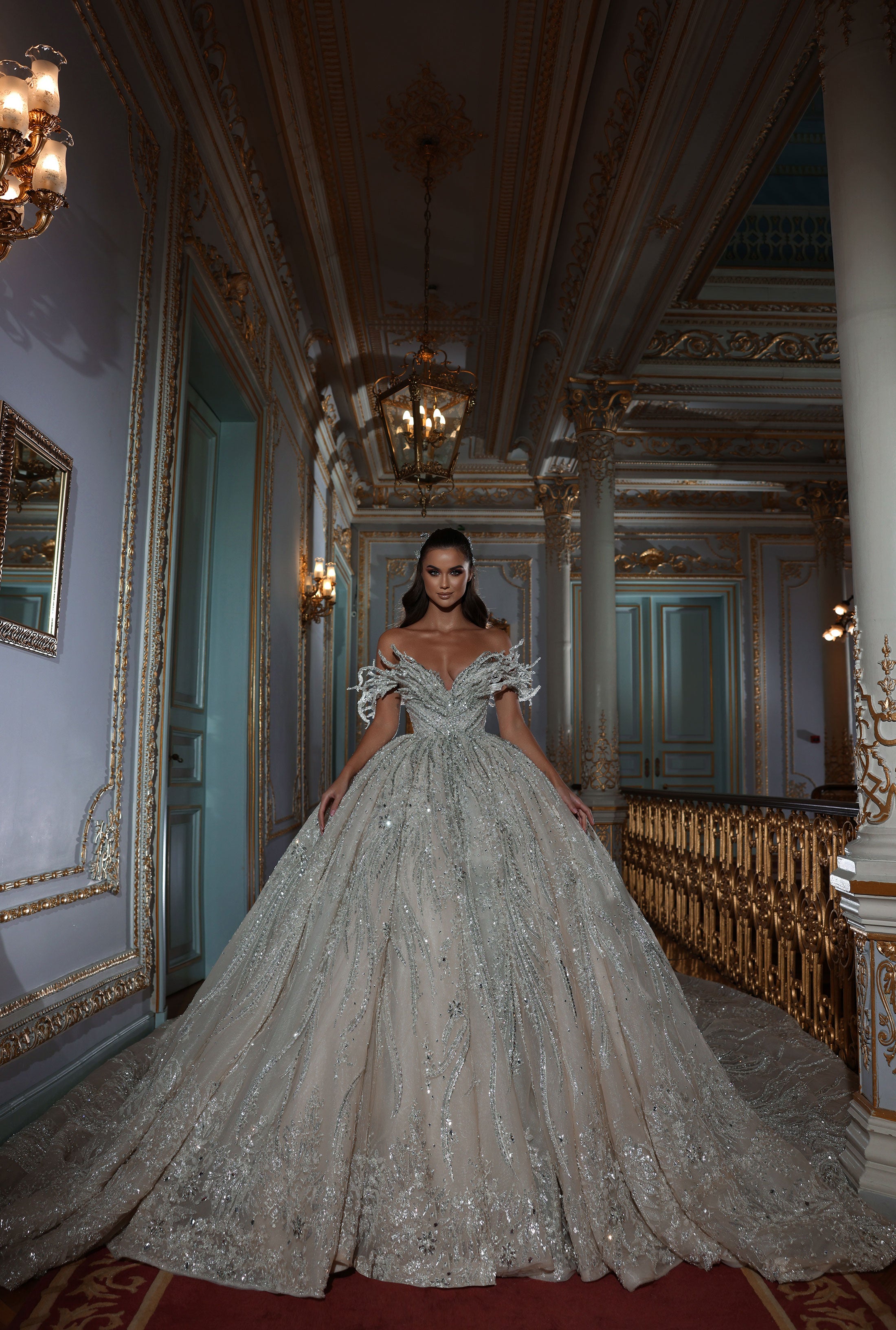 Shiny Long Bridal Dress – ALBINA DYLA